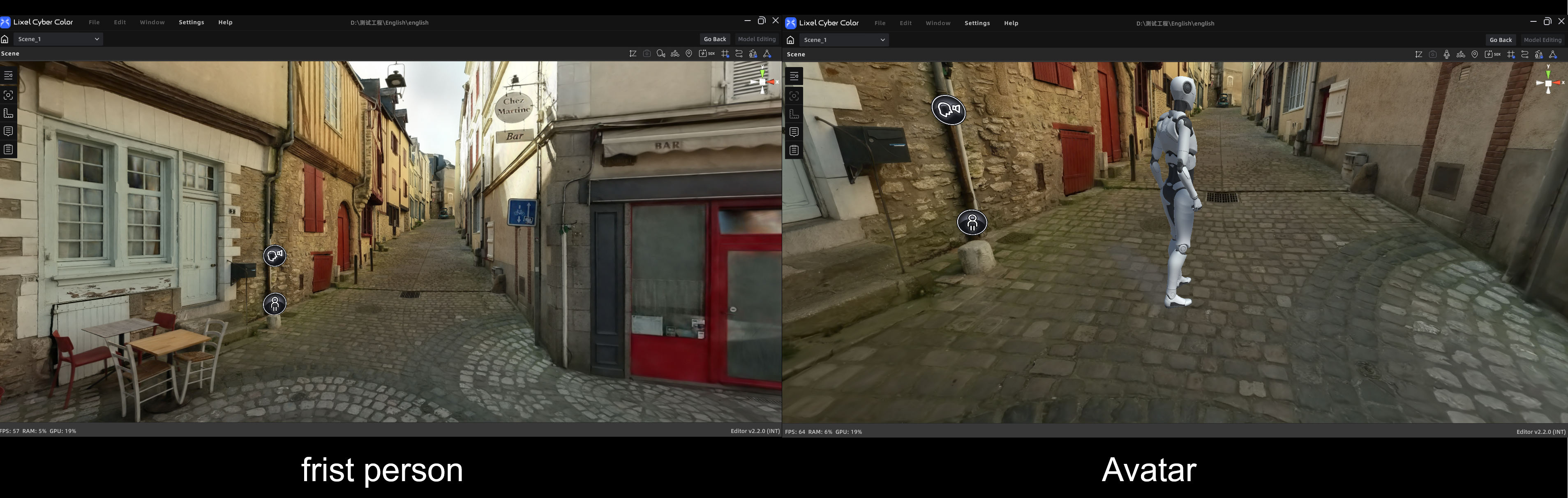 First-Person and Avatar Modes