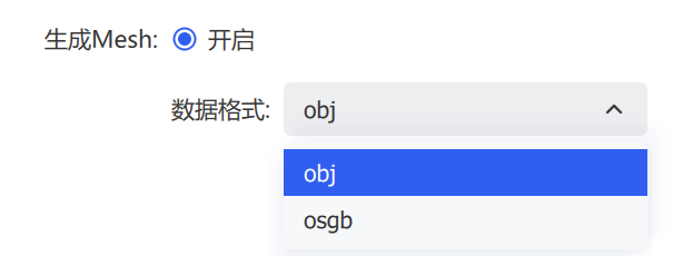 生成 Mesh
