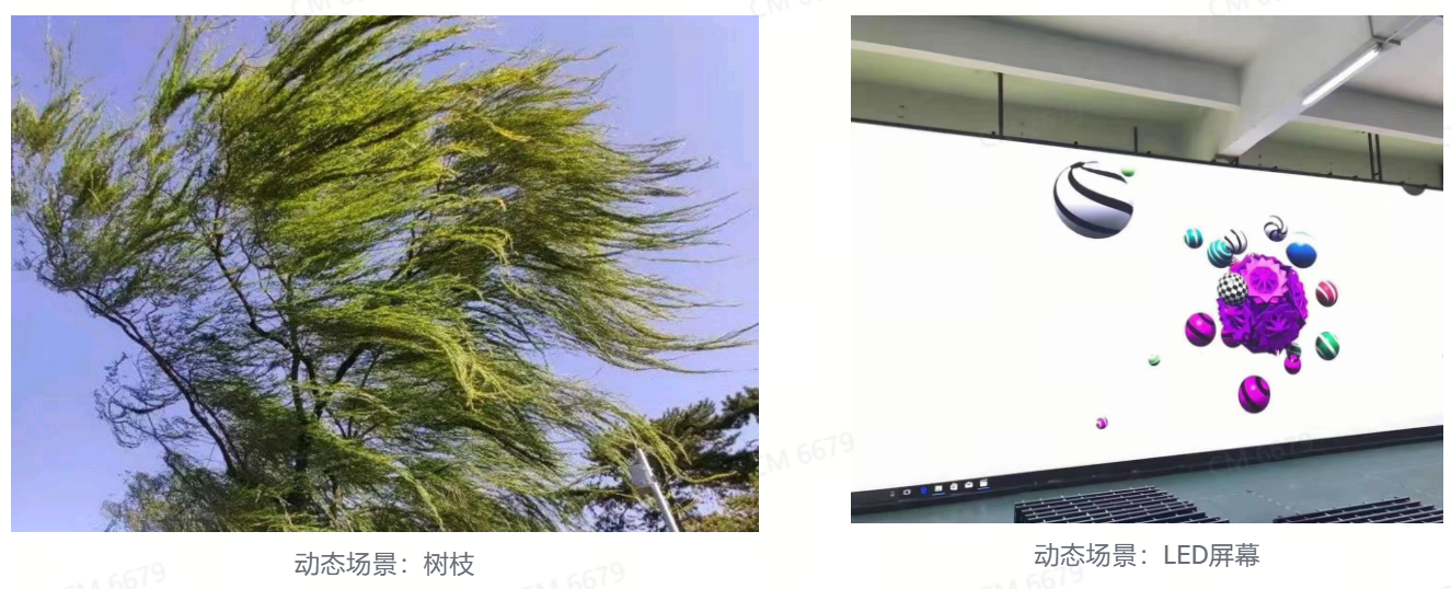 动态场景